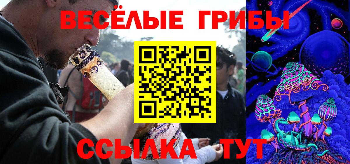 Вязники  Галлюциногенные грибы Cubensis  Галлюциногенные грибы мицелий  Вход с VPN 