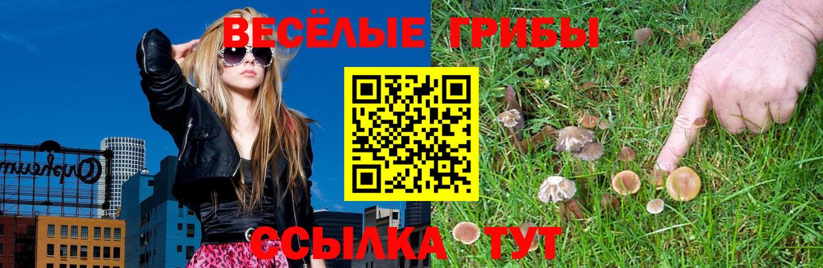 Псилоцибиновые грибы MAGIC MUSHROOMS Вязники